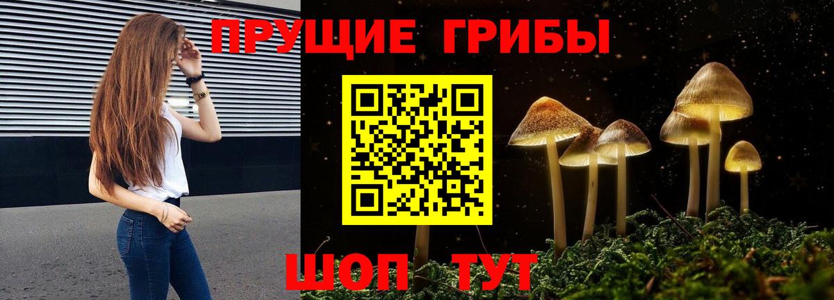 Псилоцибиновые грибы ЛСД Находка