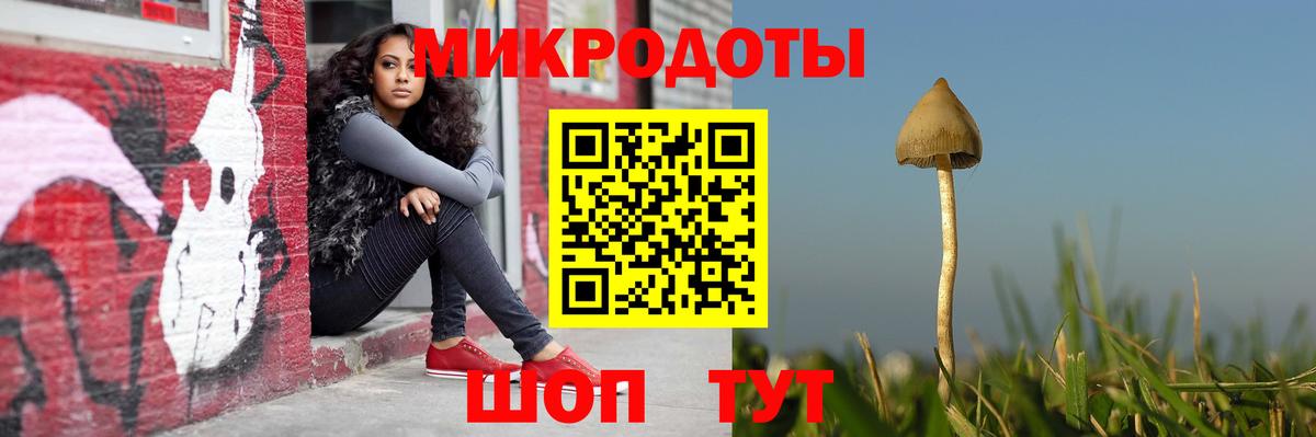 Псилоцибиновые грибы MAGIC MUSHROOMS  Вход с VPN  Находка 